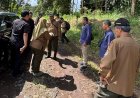 Pemeriksaan Lapangan Lisdes Dalam Kawasan Hutan Perhutani Banyuwangi Barat